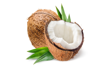 Noix de coco fraîche - Un trésor naturel aux multiples vertus
