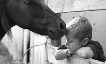 Les animaux nous soignent aussi