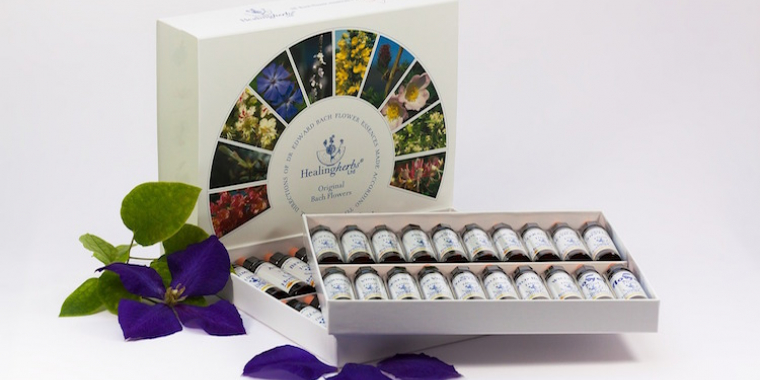 Fleurs de Bach : rééquilibrer l’humeur