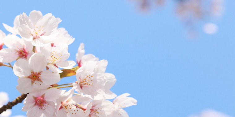 Vous avez dit détox ?