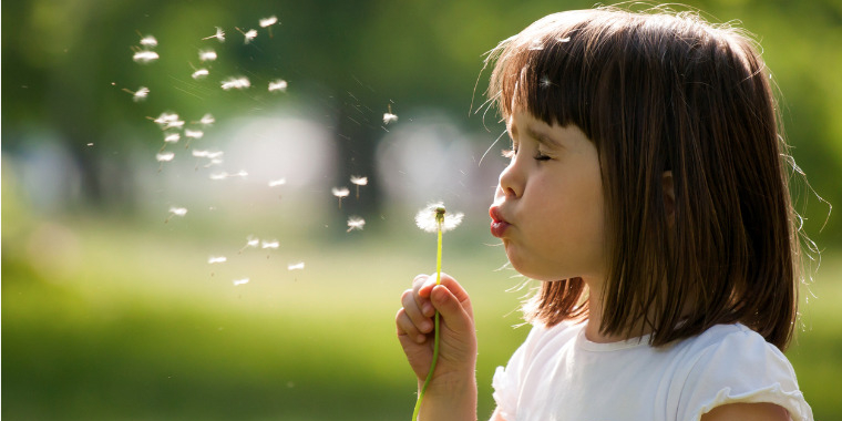 bba-bye-bye-allergies