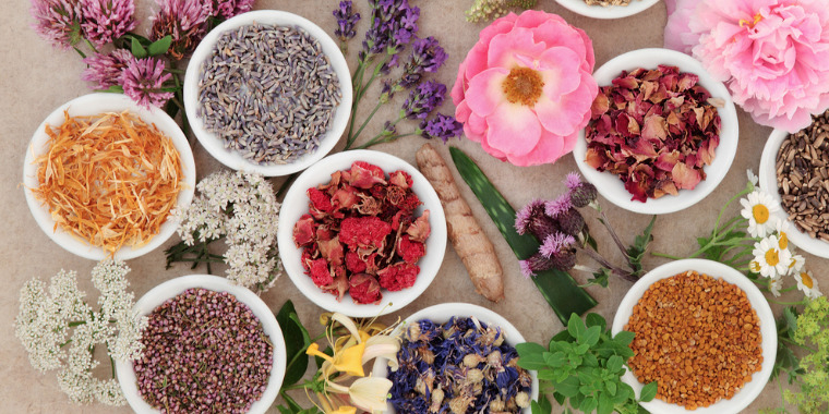 La phytothérapie - Se soigner par les plantes