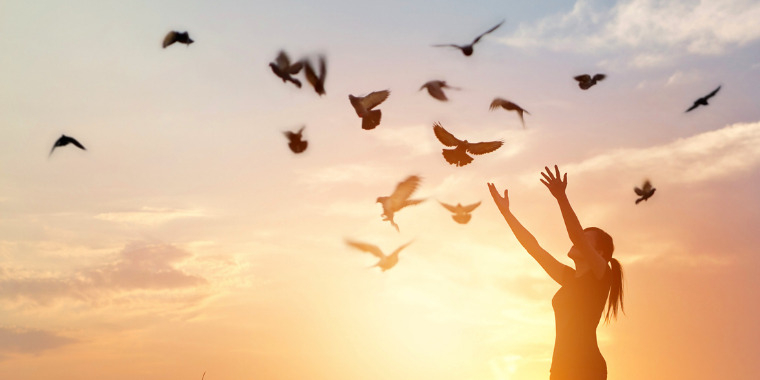 Régulation émotionnelle (Tipi) - La mémoire du corps