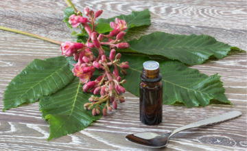 fleurs-de-bach-liberez-vos-emotions