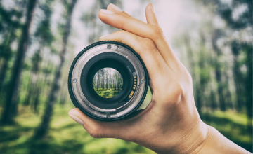 focusing-psy-ecoute-de-soi