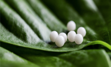 Le déremboursement de l'homéopathie