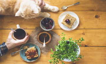 ronrontherapie-bienfaits