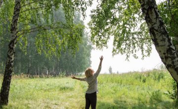 sylvotherapie-shinrin-yoku
